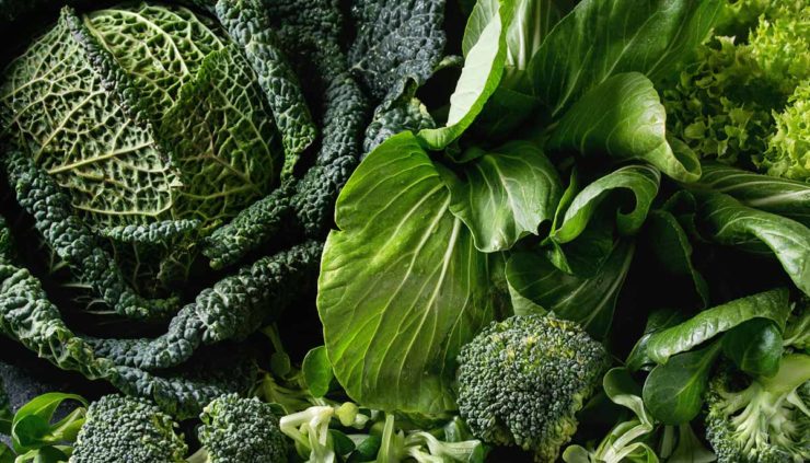 leafy green vegetables bok choy, broccoli, cabbage