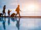 silhouettes of family with child pulling luggage in an airport, traveling